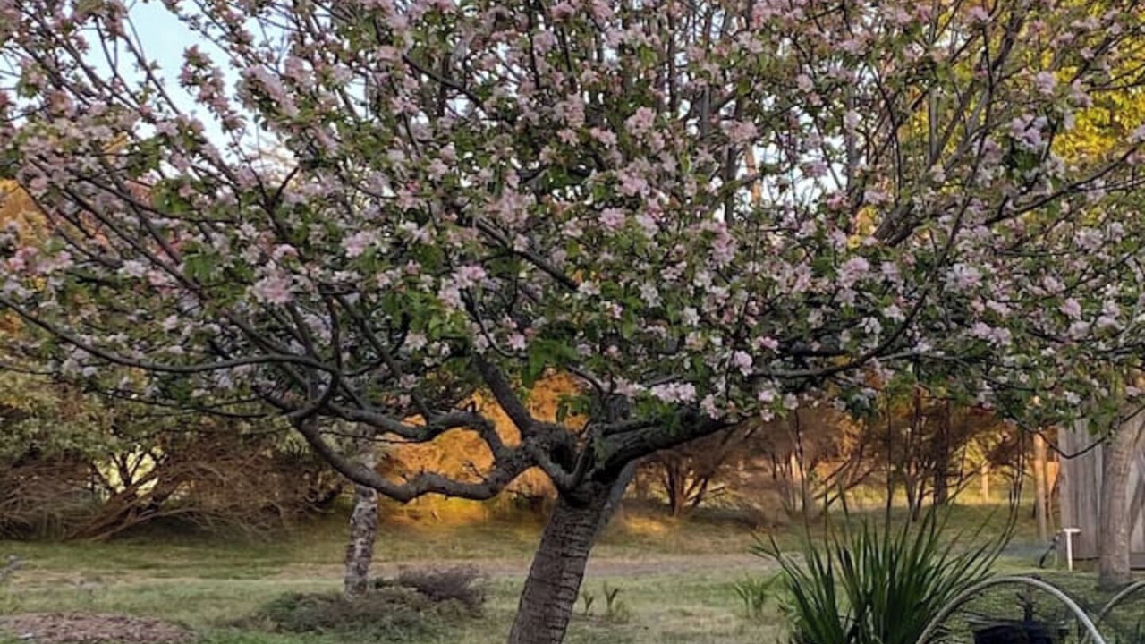 Photo of Outdoor in Fort Bragg