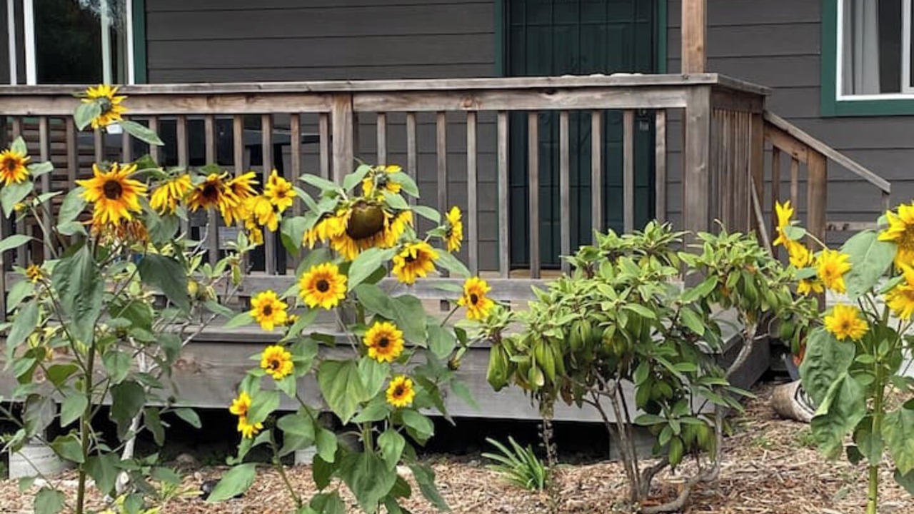 Photo of Outdoor in Fort Bragg