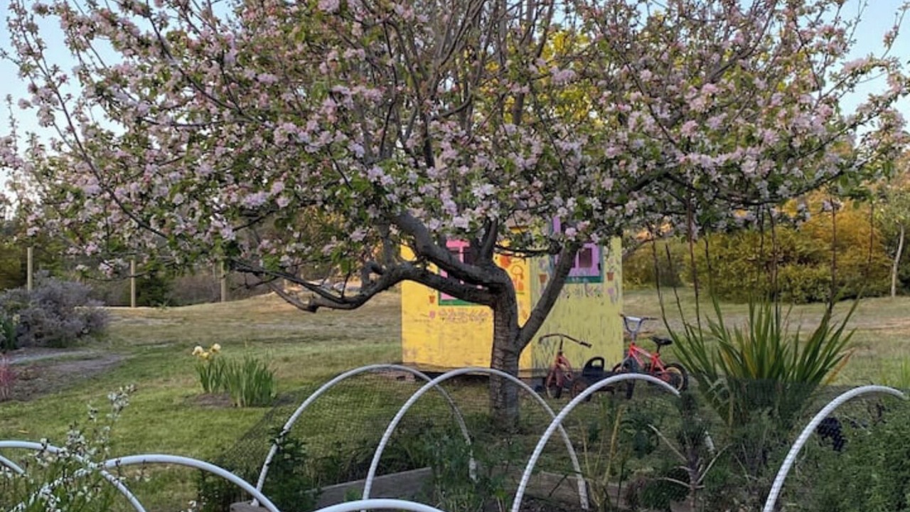 Photo of Outdoor in Fort Bragg