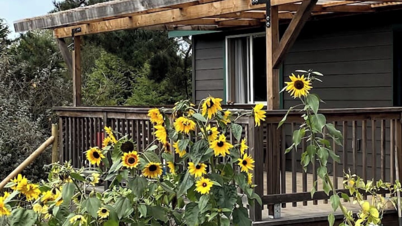 Photo of Outdoor in Fort Bragg