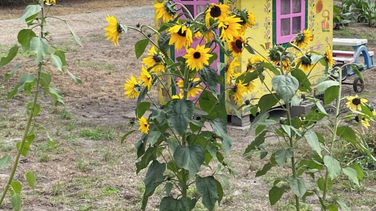 Photo of Outdoor in Fort Bragg