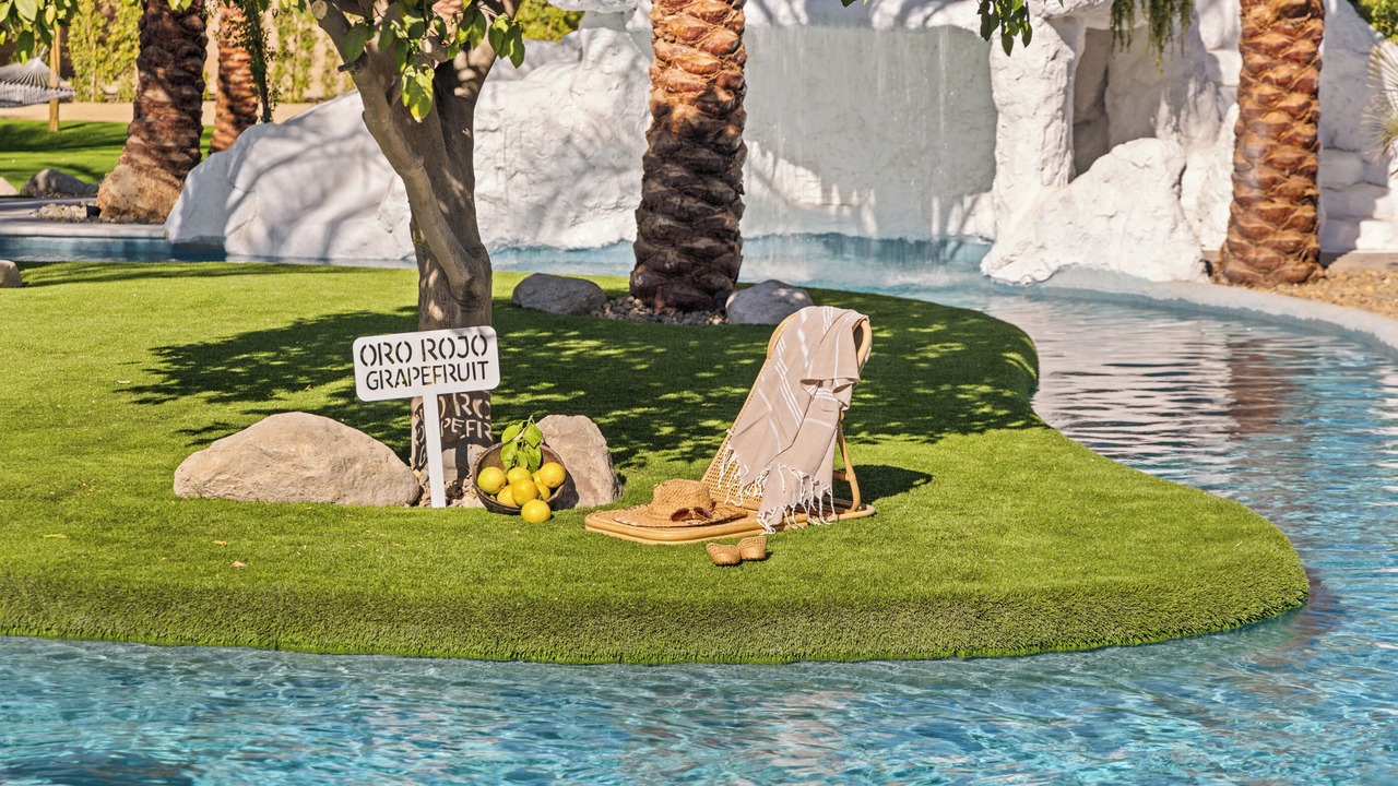 Photo of Others in Palm Desert