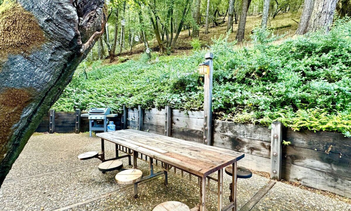 Photo of Outdoor in Nicasio