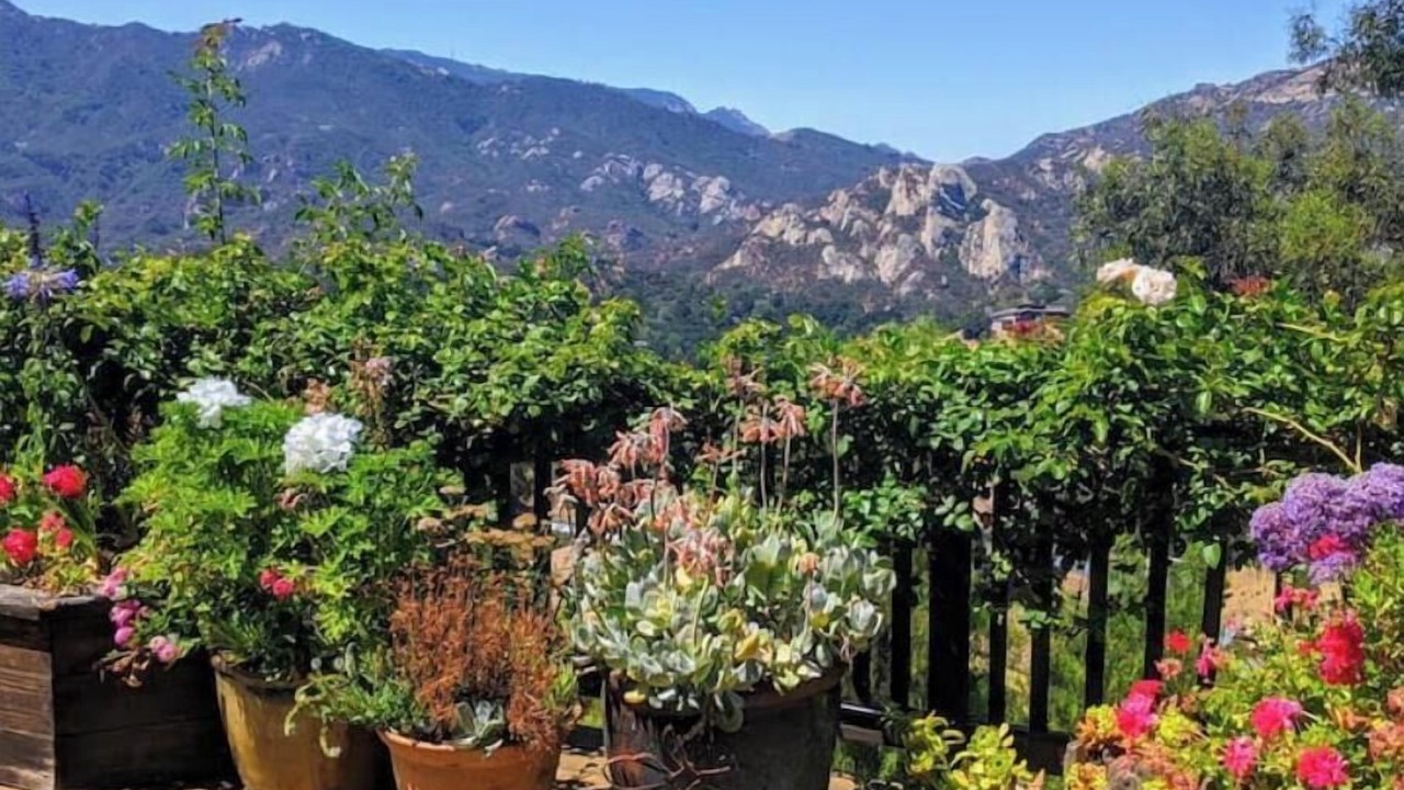 Photo of Outdoor in Topanga