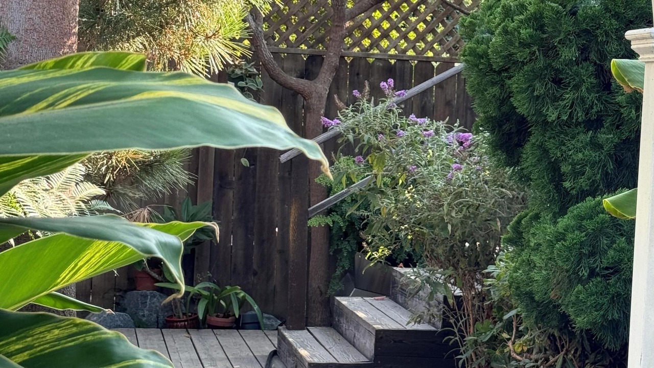 Photo of Outdoor in Belmont Heights