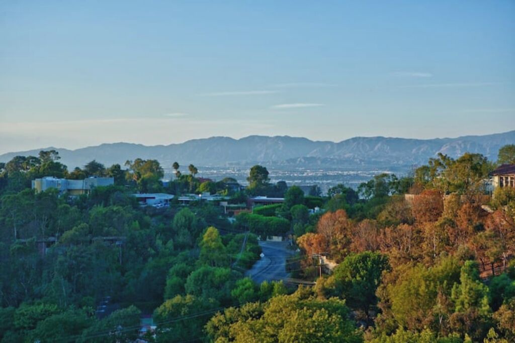 Photo of Others in Hollywood Hills