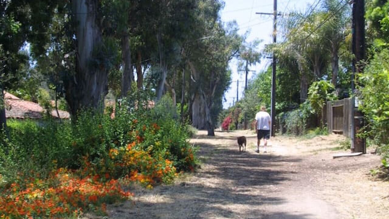 Photo of Others in Los Angeles County