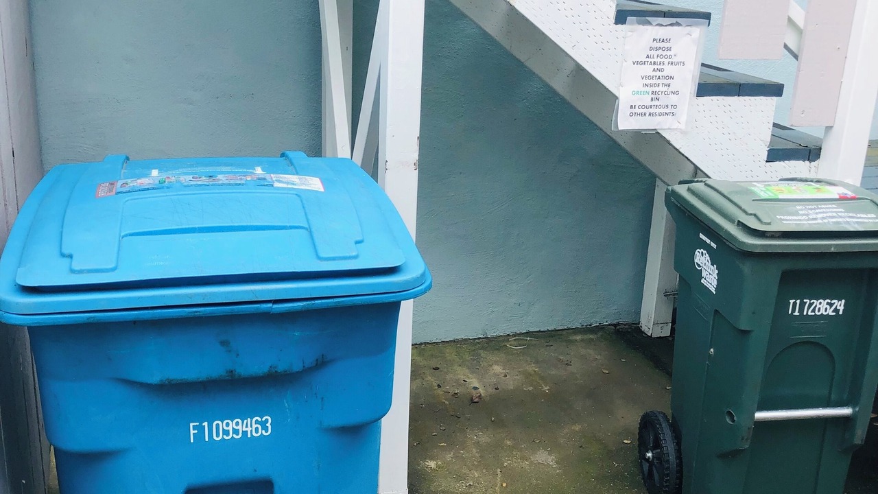 Photo of Outdoor in Belmont