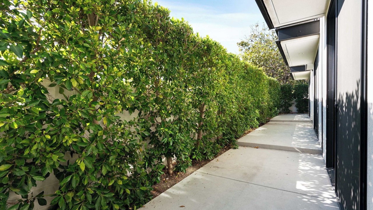 Photo of Outdoor in Westlake