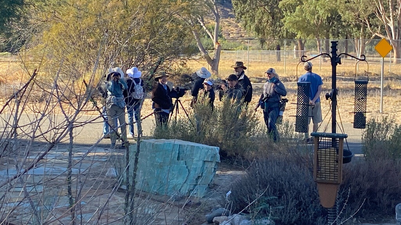 Photo of Others in Morongo Valley