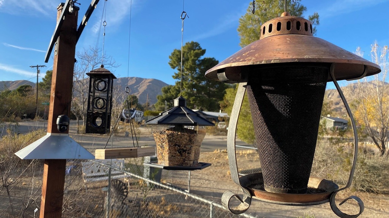 Photo of Others in Morongo Valley
