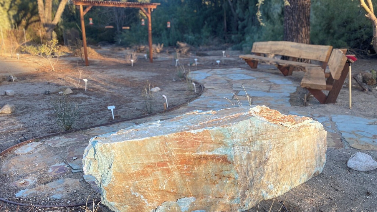 Photo of Others in Morongo Valley