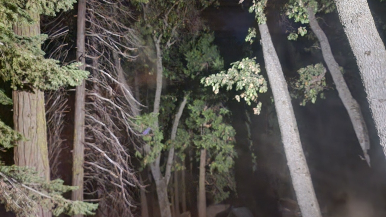 Photo of Outdoor in Alta Sierra