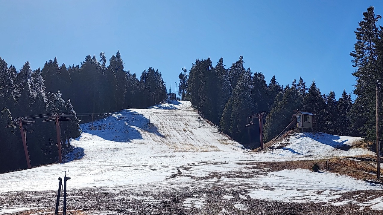 Photo of Others in Alta Sierra