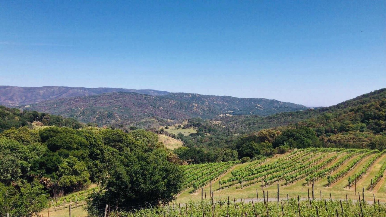 Photo of Others in Napa