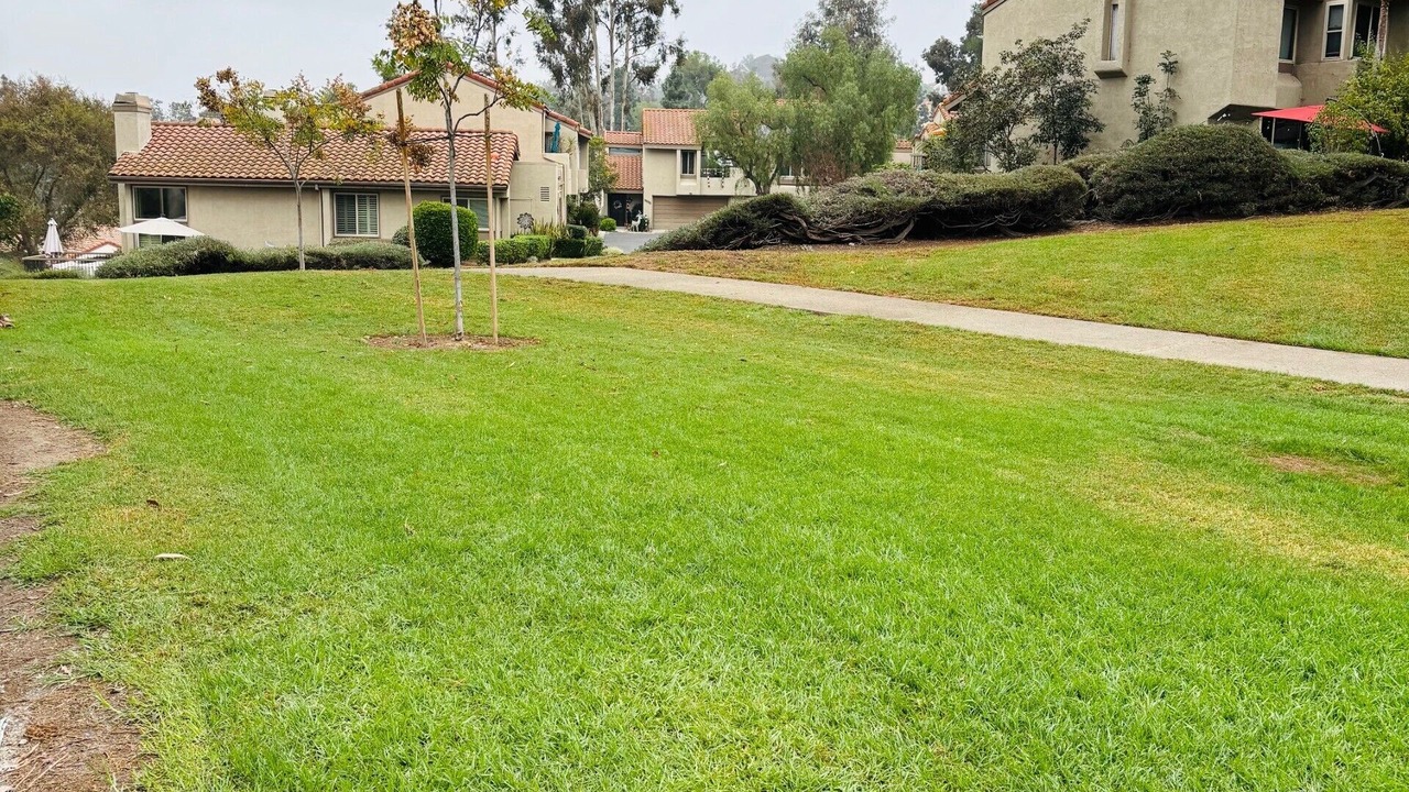 Photo of Others in Mission Viejo