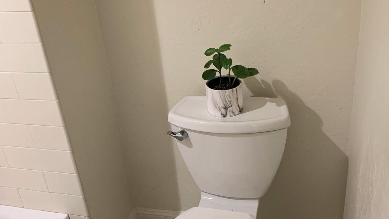 Photo of Bathroom in San Pablo