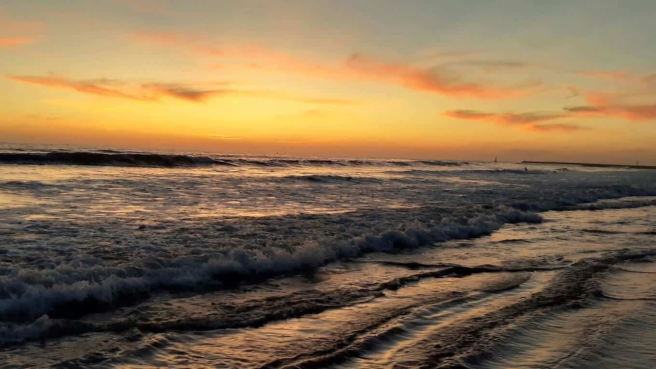 Photo of Others in South Oceanside