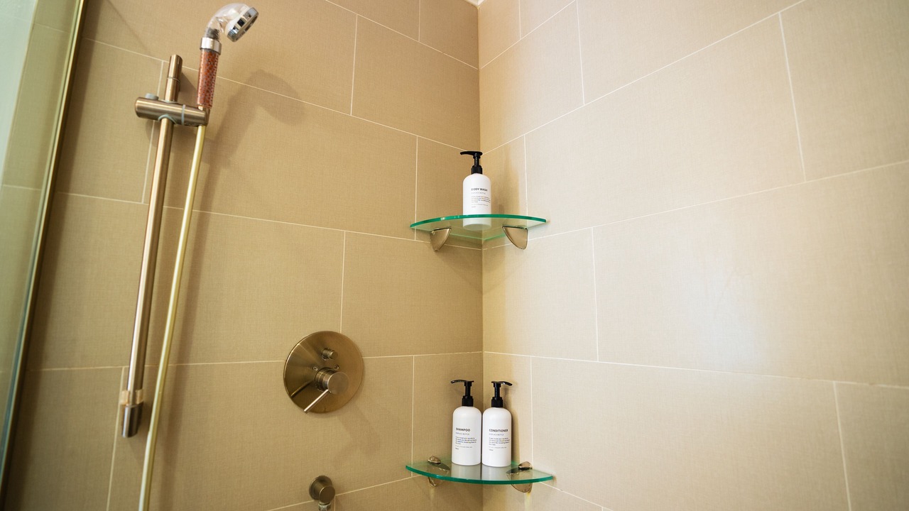Photo of Bathroom in East San Jose