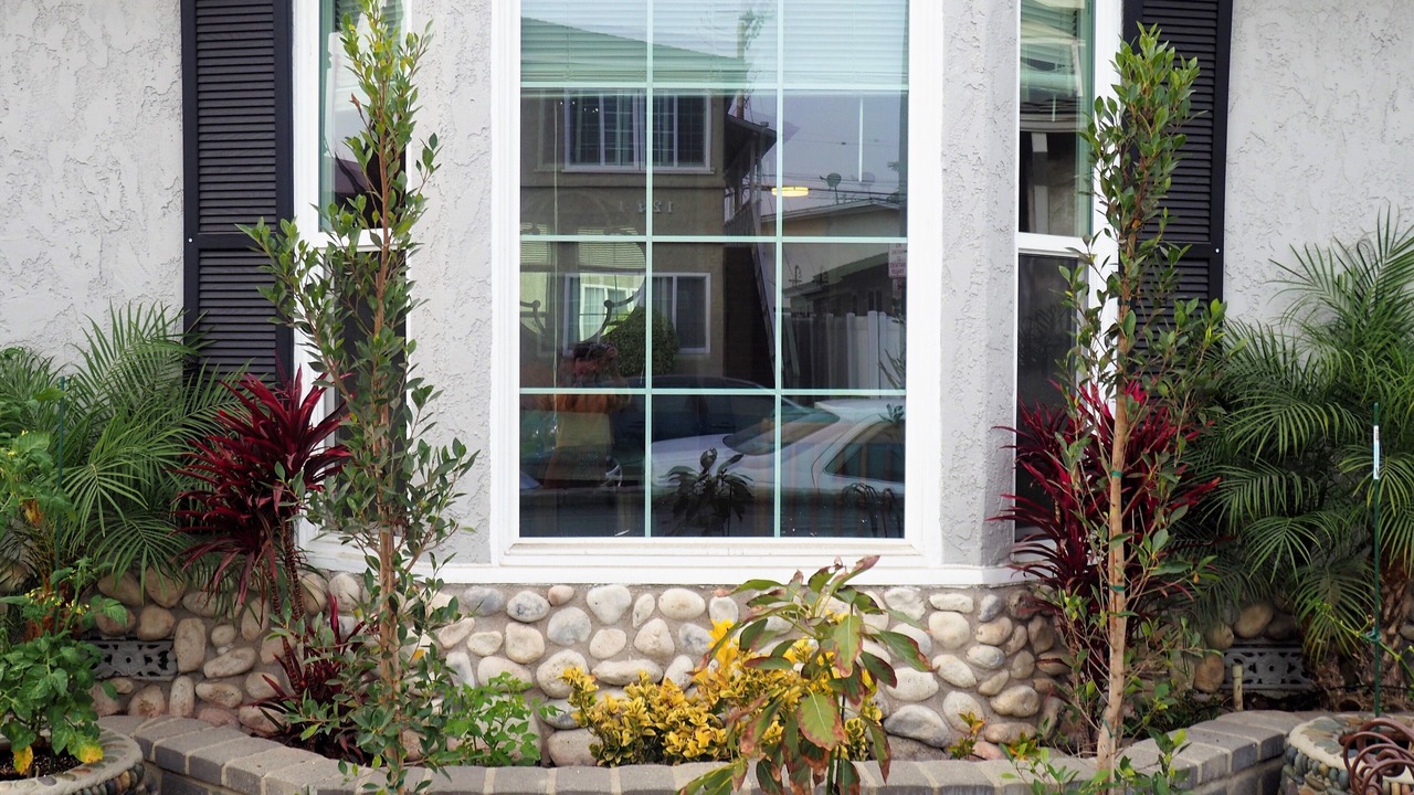 Photo of Outdoor in Belmont Shore