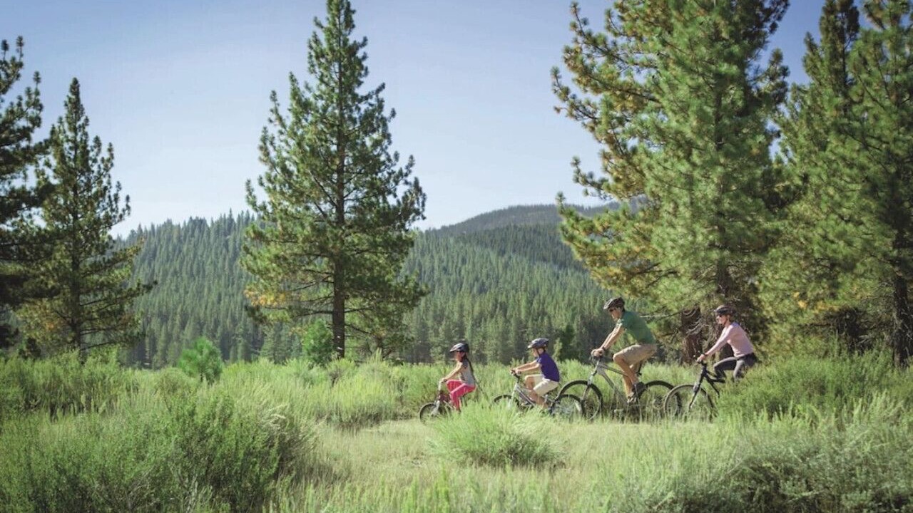 Photo of Others in Alpine Meadows