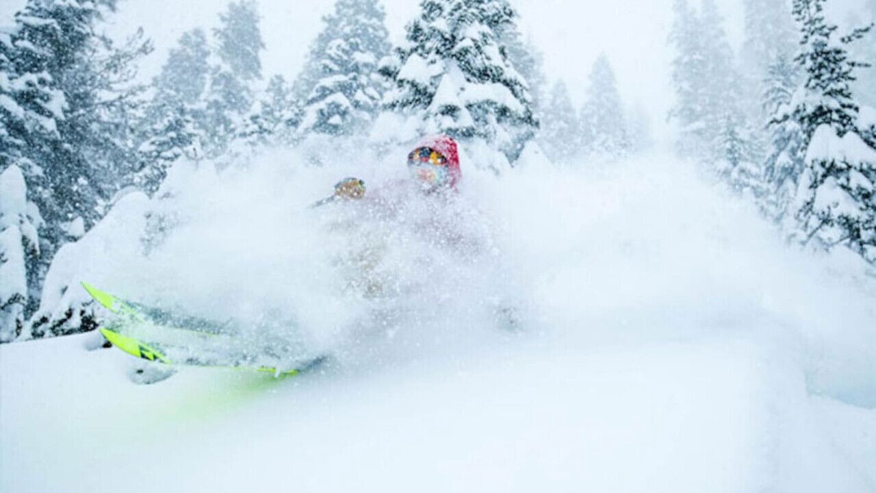 Photo of Others in Alpine Meadows