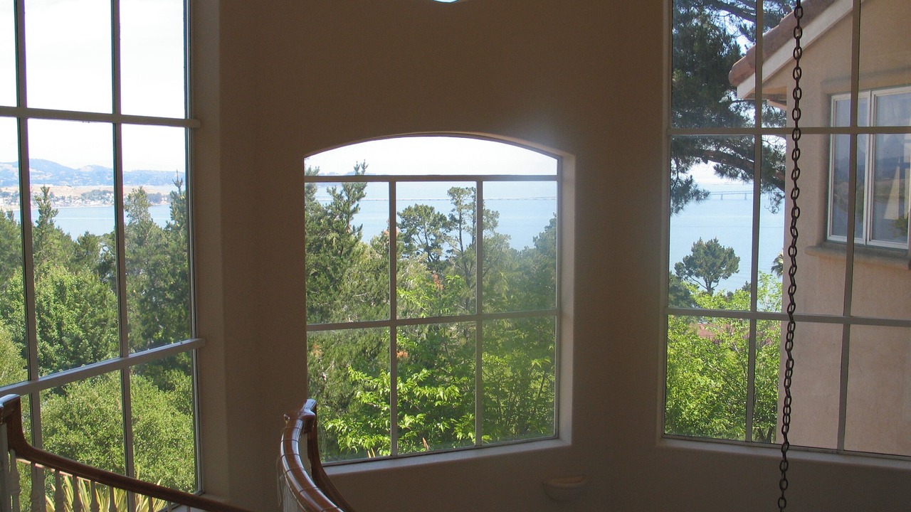 Photo of Others in Tiburon