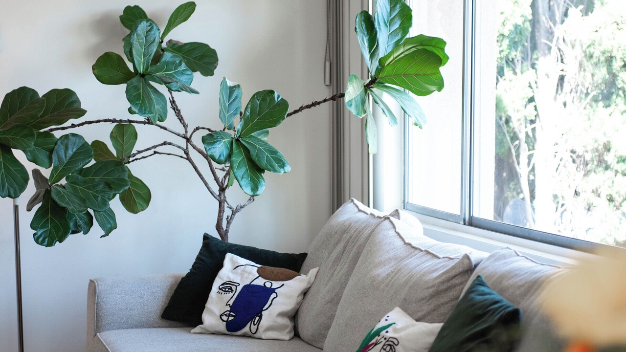 Photo of Livingroom in Westwood