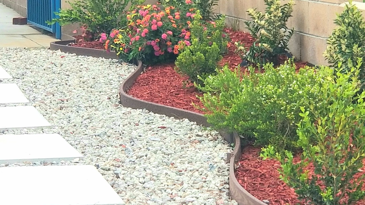 Photo of Outdoor in Charter Oak