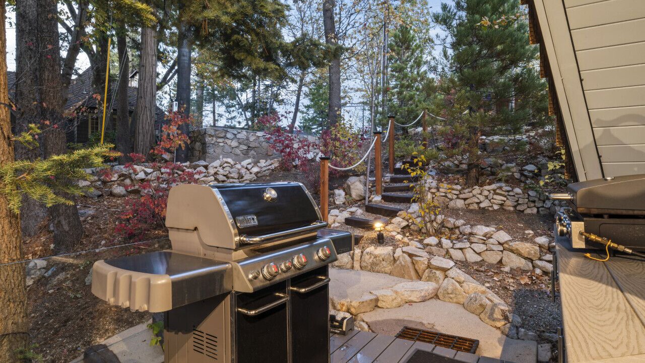 Photo of Outdoor in Blue Jay