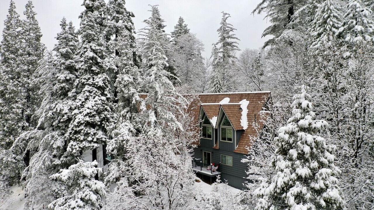 Photo of Outdoor in Blue Jay