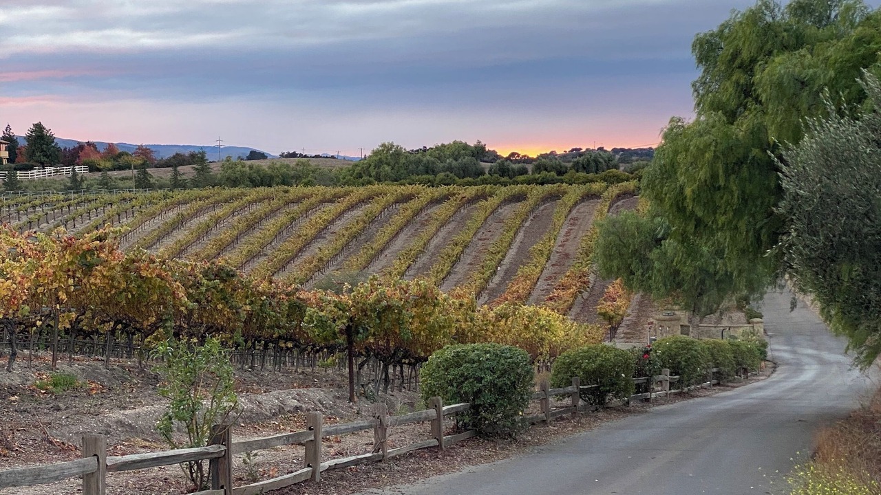 Photo of Others in Solvang
