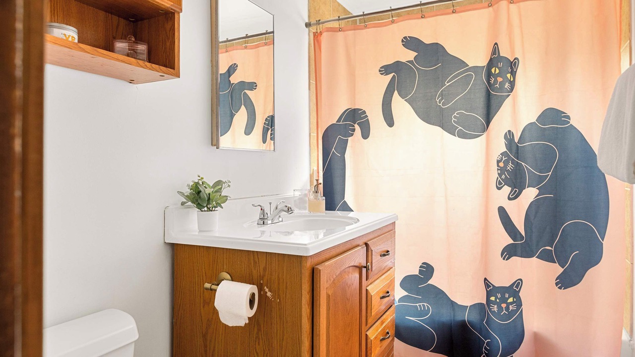 Photo of Bathroom in Green Valley Lake
