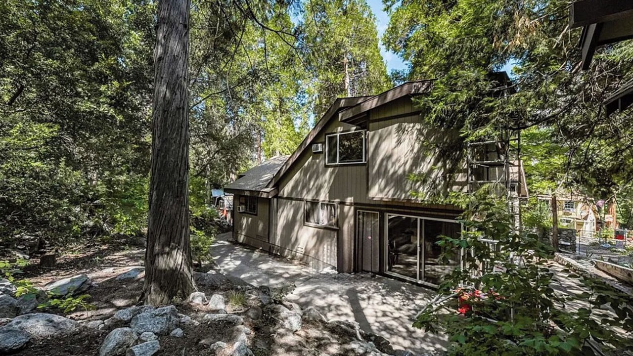 Photo of Outdoor in Forest Falls