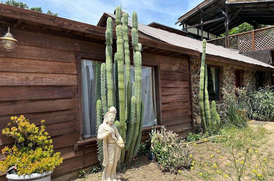Photo of Outdoor in Topanga