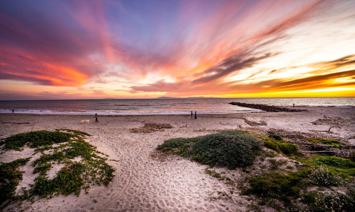 Photo of Others in Ventura