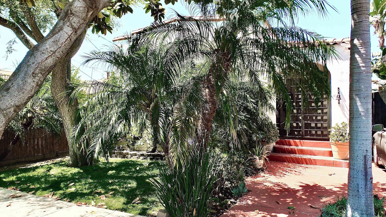 Photo of Outdoor in Zaferia