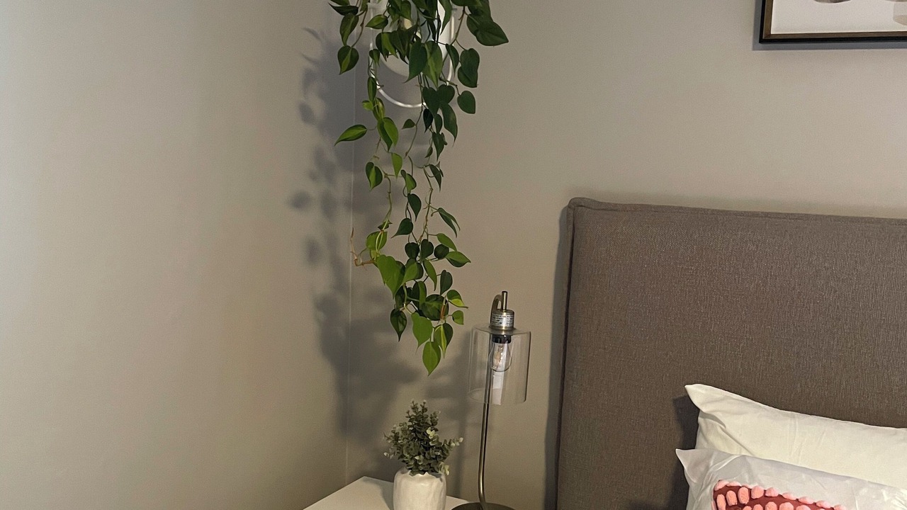 Photo of Bedroom in West Los Angeles