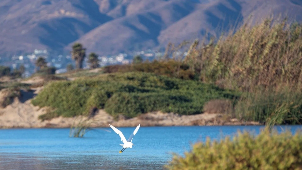 Photo of Others in Ventura