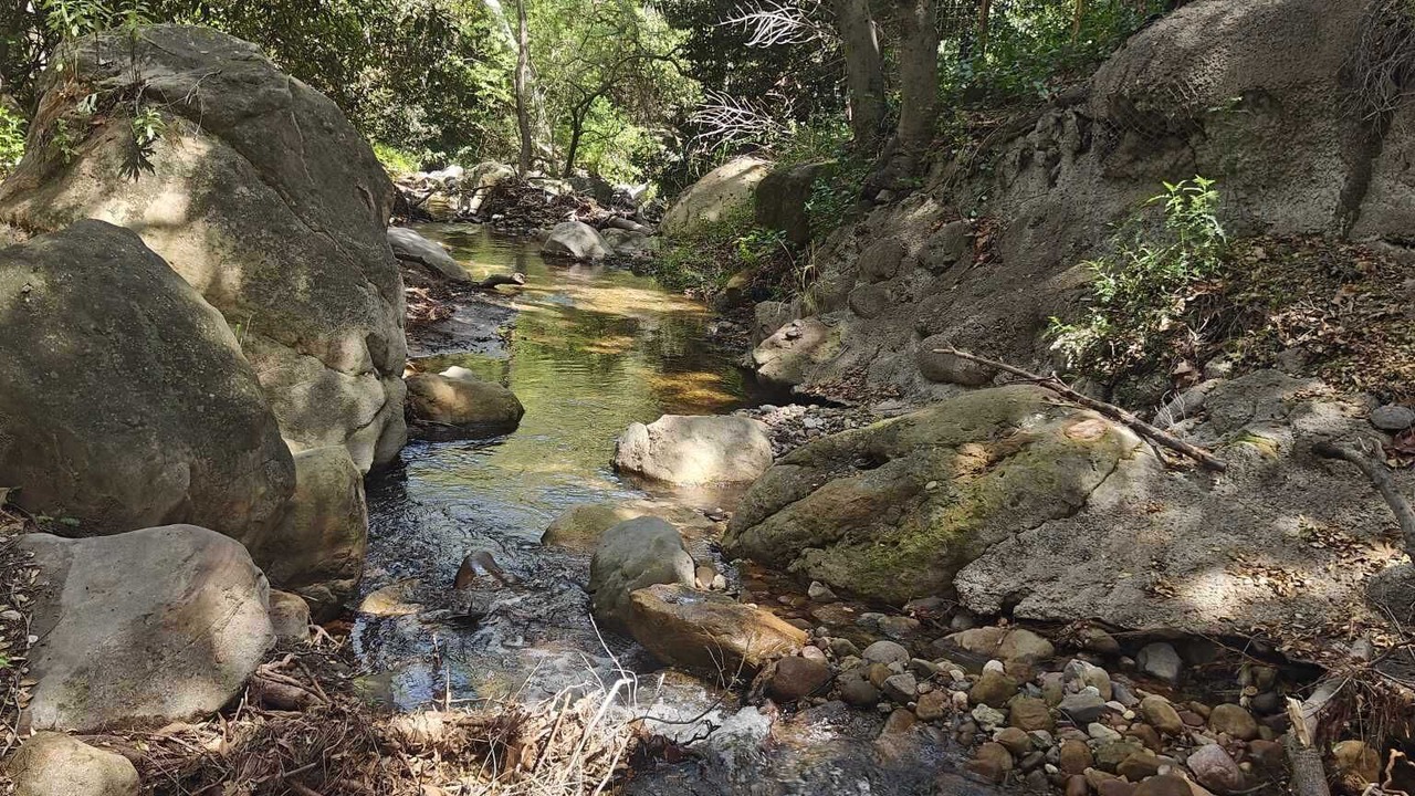 Photo of Others in Topanga