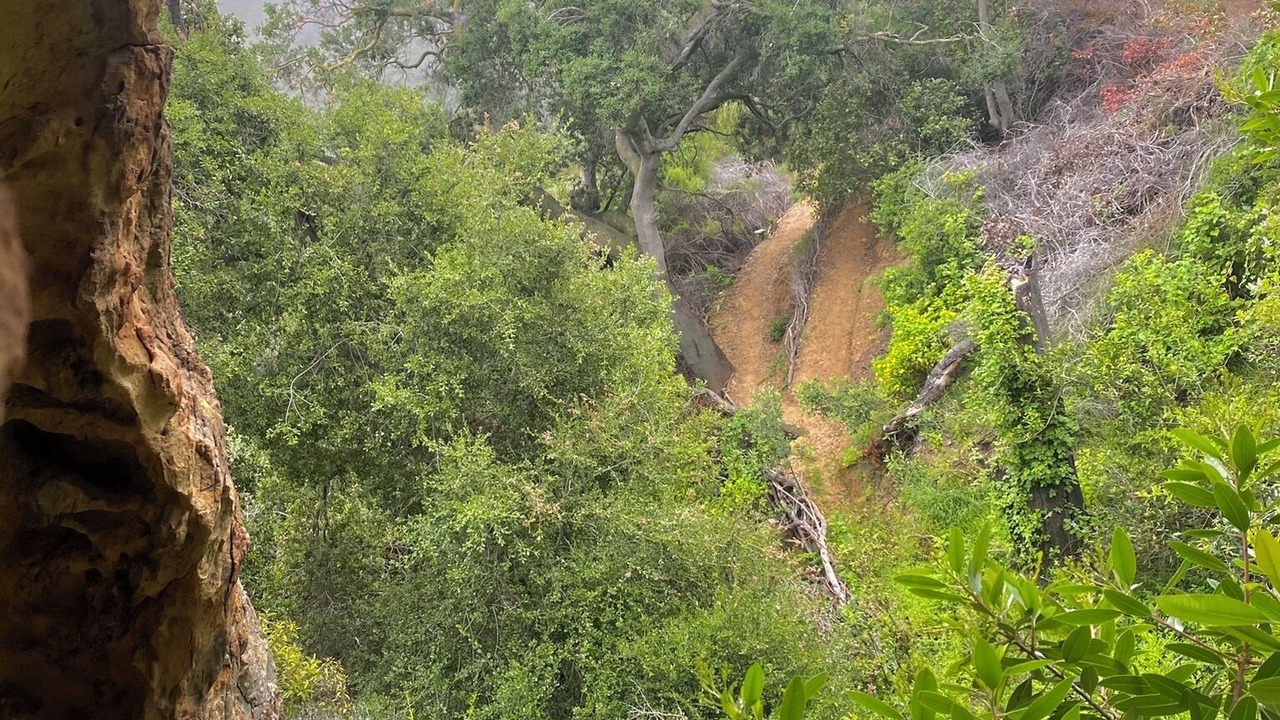 Photo of Others in Topanga