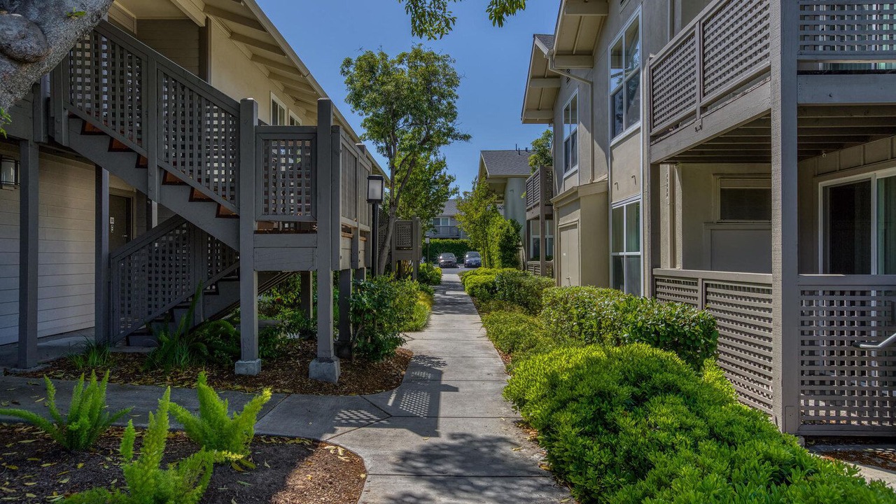 Photo of Outdoor in Cupertino