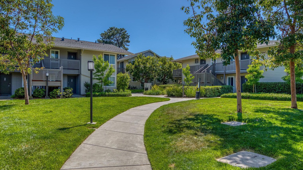 Photo of Outdoor in Cupertino