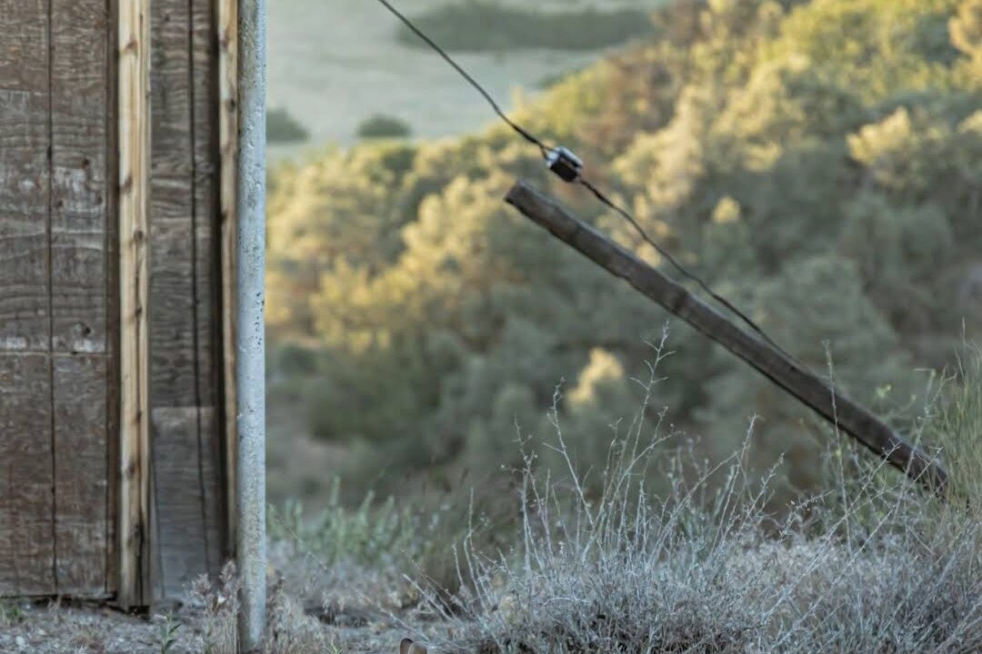 Photo of Outdoor in Maricopa