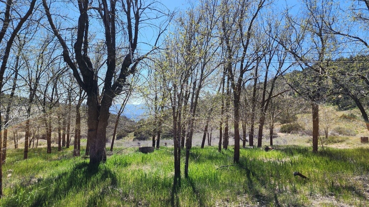 Photo of Outdoor in Maricopa