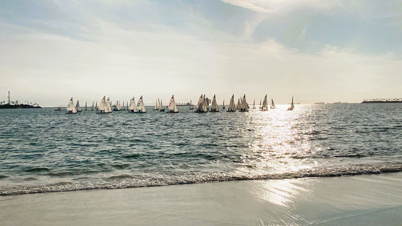 Photo of Others in Harbor