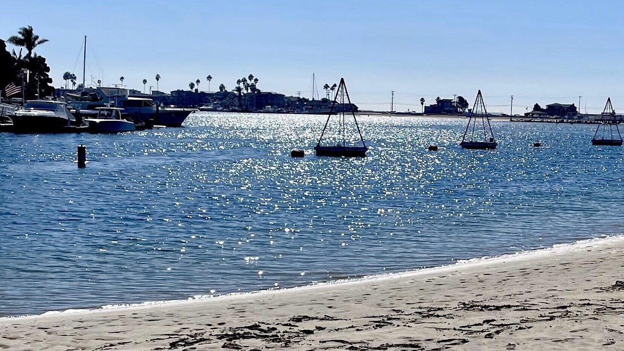 Photo of Others in Harbor