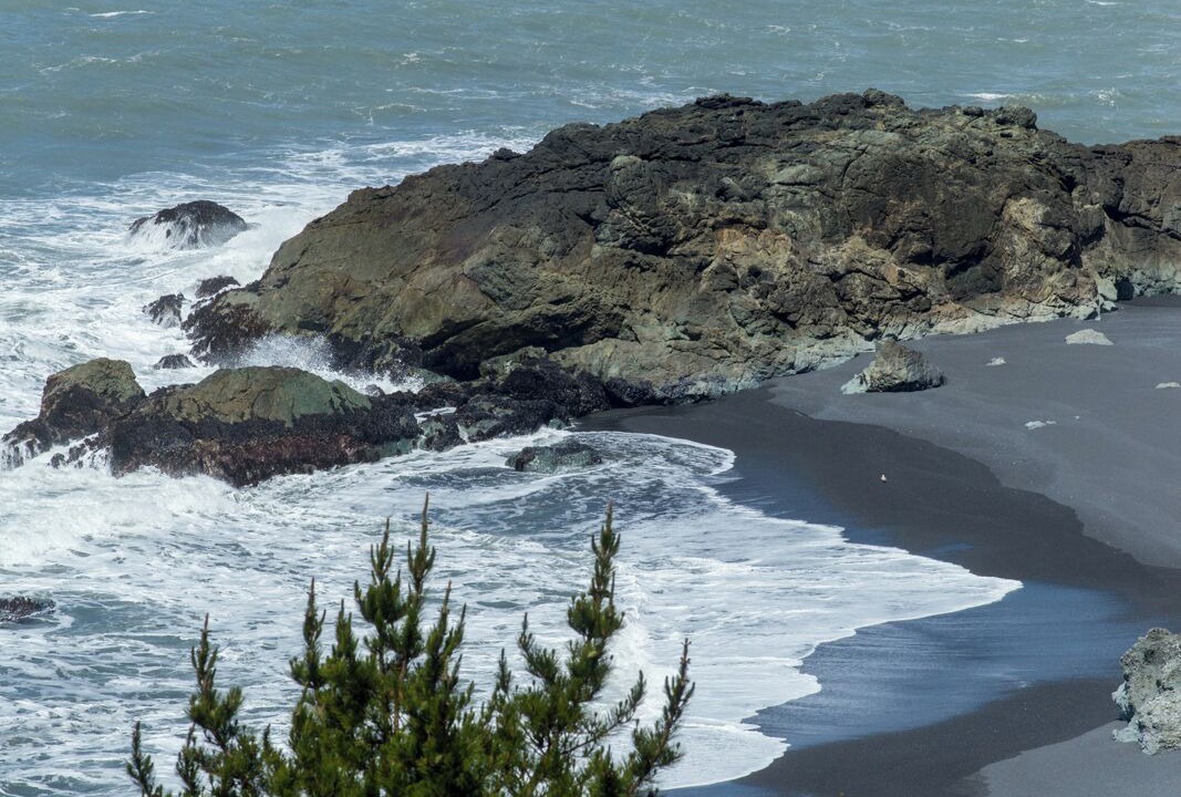 Photo of Others in Shelter Cove