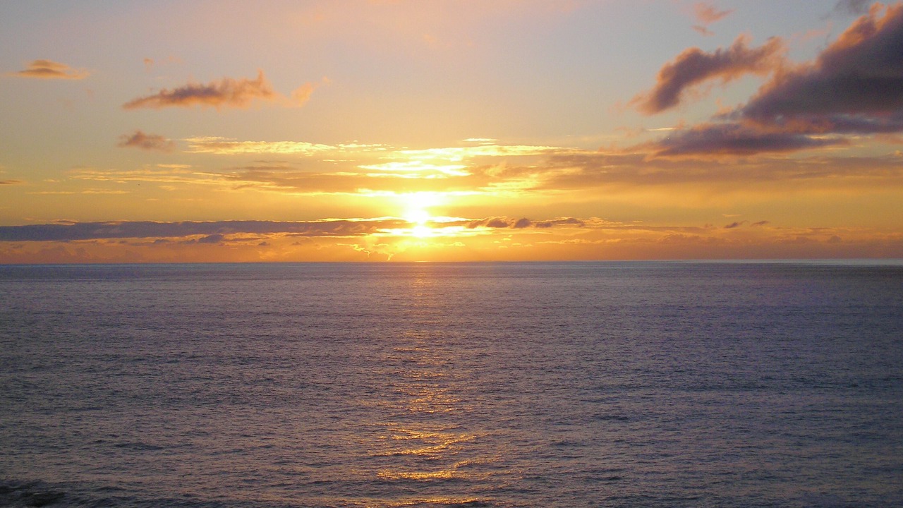 Photo of Others in Shelter Cove
