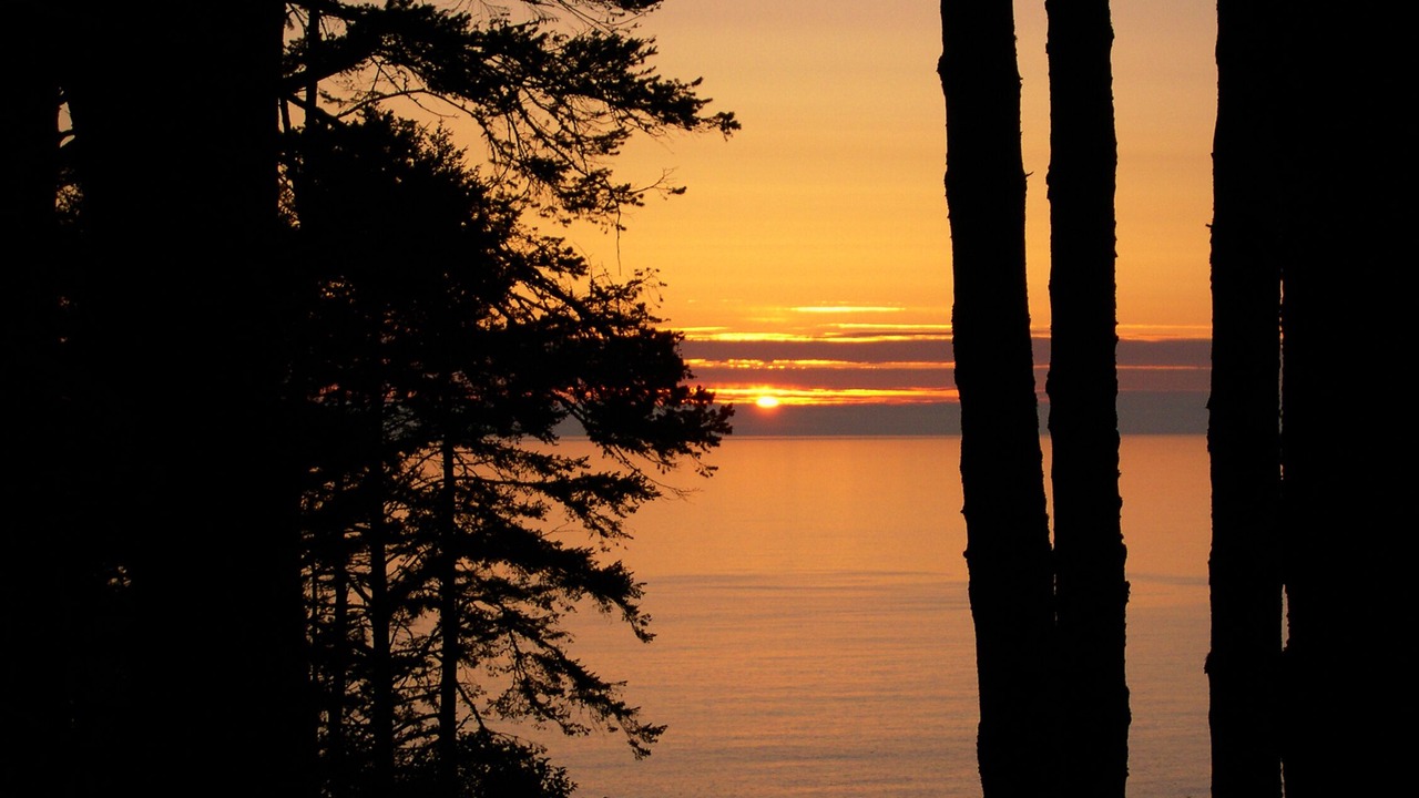 Photo of Others in Shelter Cove